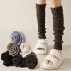 Donne calze di colore solido per lolita in stile giapponese caldo addensato su calze heap dimmutante invernali acuto