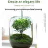 Wazony mche bonsai artefakty mikro krajobraz świeży zieleń wazon pulpitu butelka Eco