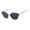 Solglasögon Fashion Cat Eye Women Brand Designer Vintage Sun Glasses White Beach Shade Sexy Gafas de Sol 2024