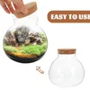 Vases 2 PCS Micro Landscape Ecological Bottle Decorcor Decor Bourse Micro-Landscape Monitor Boucard Décore Home Cork vide