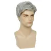 Perruques pour hommes, perruques courtes et perruque gris Costume de cheveux naturels en couches Halloween Wigs synthétiques résistants à la chaleur pour hommes mâles Wigsless