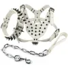 Cool Spiked Studded Leather Dog Harness Rivets Collar and Leash Set For Medium Large Dogs Pitbull Bulldog Bull Terrier 2634 240418