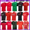 Jersey 2022 Wales Home/Away English Nrl Olive Short Short Shiet Training Shorts Rugby