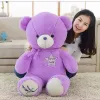 Kuddar 35120 cm Giant Purple Bear Plush Toys Högkvalitativa fyllda härliga djur Teddy Bear Dolls gåvor