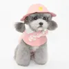 Hondenkleding suprepet Round rand Princess Cap Visor hoed Pet Sun voor kleine extra caps chihuahua accessoires huisdieren Yorkshire