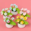 Decorative Flowers Artificial Potted Handmade Gradient Forget Me Not Mini For Home Car Decoration Knitting Crochet Women