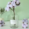 Dekorative Blumen 10 künstliche Kapok natürliche getrocknete Simulation Baumwolle Hochzeitsraum Osterdekoration Lieferungen DIY Wrack Bouquet Geschenkbox