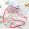 Bloomers 12pcs/Lot Girl