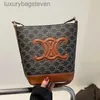 Bolsas de diseñador de celos para personas de alta gama para mujeres nuevas bolsas para mujeres otoño invierno bolsos de mensajería de hombro de alta moda a gran capacidad con logotipo original