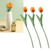 Fiori decorativi 10pcs bouquet fiore di tulipano artificiale vero touch pu falso per decorazione del matrimonio casa decorativo