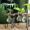 Vases Terrarium Frame en bois Hydroponic Plant Green Plants Pot Transparent Vase Tabletop Decoration Bure