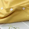 Camicia 2024 primavera estate femminile vintage collare peter pan pan -sottile camicie sottili maglie