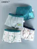 Underkläder LJMOFA 4 Piece Kids Boys Underwear Soft Toddler Shorts Byxor Tecknad dinosauriebriefs för spädbarnsbarn Tonåring B191