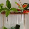 Vazen 4 PCS Hydroponische vaas Plantenstartglasbuizen Kleine terrariumplanten Voortplanten Hangende plantenbak