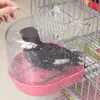 Altre forniture per uccelli in gabbia vasca da bagno pappagallo canarino appeso piccoli parrocchetti a gabbia