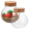 Vases 2 PCS Micro Landscape Ecological Bottle Decorcor Decor Bourse Micro-Landscape Monitor Boucard Décore Home Cork vide