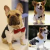 Shirts Pet Clothes Wedding Formal T Shirt Puppy Dog Cat Bowtie Tuxedo Gentleman Suit