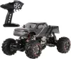 CAR HBX 2098B RC -auto voor kinderen en volwassenen, 1/24 schaal 2,4 GHz Remote Control Car, 4WD 4WS Devastator Rock Crawler met dubbele servo