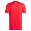 2024 Wales JOHNSON soccer jersey Euro Cup Cymru National Team Kids Kit Full Set Uniform BROOKS WILLIAMS DAVIES BROOKS WILSON AMPADU Men Home Away Football Shirts