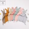 Sets Baby Name Personalized Embroidered Baby Soother Appease Towel Bib Soft Absorbent Cloth Kids Sleeping Nursing Cuddling Blanket