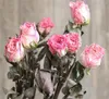 Fleurs décoratives 5pcs grandes têtes séchées Rose Real Natural Beau Bouquet pour la maison Mariage de Noël Décor floral en vrac