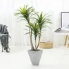 Dekorative Blumen Simulation Millennium Eisen Pflanze gefälschte Bäume Innenfenster Dracaena Dekoration Büro Boden Home Greenery