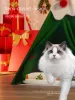 Mats Nouvelle prévente!Arbre de Noël chat et chien de compagnie nid du Nouvel An Festival hiver hiver à moitié fermée de chat fermé maison de sommeil profond épaississement