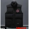 Vestido de inverno veste de inverno colete para homens coletes de luxo de luxo jackets de moda feminina gilet gilet casaco macho doudoune luxo ganso 8867