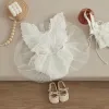 One-pièces visgogo nouveau-né pour tout-petit bébé fille roberie soeur tenue fleur dentelle roberie combintes combinaisons tutu robes d'été