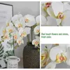 Greante floral falsa 32 polegadas Phalaenopsis Flowers 9 cabeças de orquídea artificial Flores de borboleta Plantas de caule para decoração de casa 6pcs T240422