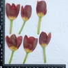 Decoratieve bloemen Originele tulpen oem est levering echt ingedrukt voor PO -arrangementen 10 pc's
