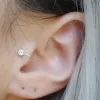 Серьги высокий качество 6 мм AAA CEZCH Циркон шикарной серьга Tragus для женщин, не пронзительный, ушной, ушная манжета, 2021, также будьте носовым кольцом