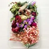 Dekorativa blommor 1 Box Real Dried Package Blandat och bladverk för ljus Epoxihartshänge DIY smycken Making Craft