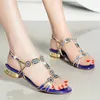 Women Green Blue Gold Rhinestone Sandals Tstrap Square Heel 25cm Lowheeled Party Shoes Back Buckle Big Size 240412