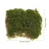 Decoratieve bloemen gesimuleerde mosblok realistische turf kunstmatige mat ambachten nep gras plastic micro landschap decoratie scène planten