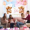 Decorazione della festa Bear Gender rivela sfondo di sfondo decorazioni per il compleanno per bambini bombardiere bomboniere baby shower