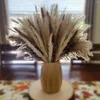 Декоративные цветы сухой пампас Декор травы натуральный маленький напыщенные пух