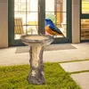 Trädgårdsdekorationer harts matare trädhus staty figur staket däck fågel bad skål matning station för kolibri balkong hushållning