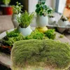 Fleurs décoratives Bloc de mousse simulée Turf réaliste Mat artificiel Artisanat Fake Grass Plastique Micro Paysage Décoration Scène