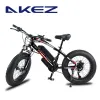 Cykel Elektrisk cykel Offroad Beach Power Electric Cykel 20 tum Fettdäck 500W Högeffekt Motor Snöelektrisk cykel