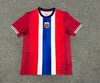 Norge 2024 2025 Soccer Jersey Haaland Odegaard Strand Larsen Sorloth Berg Ajer Nusa Bobb Ostigard Vetlesen Thorstvedt 24 25 National Team Men Kids Football Shirt