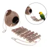Toys Coconut Bird House Bird Nest in Shape of Natural Coconut Coconut Hide with Ladder Bird House Cage Toy for Pet Bird Parrot 1 Set