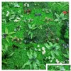 Kränze dekorative grüne Blüten 3d Künstliche Pflanzen Wanddekoration Panel gefälschte Rasen Teppich Hintergrund Gartengrasblume Home Dekoration D Dh9ZB ATion H9ZB