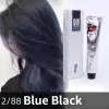 Color Hair Dye Organic Natural Fast Shampoo Plant Essence Color Hair Dye Shampoo Pop Color Light Linen Gray Blue Black Beautiful Girl