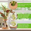 Vases 4 PCS Mini Verre transparent Verrarium Verre Soille sans Vase Vase Garden salon Home Tabletop Decoration