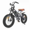 Cykel x50 elektrisk cykel med en kraftfull 750W borstlös motor, långlastande 48V 12,8A -batteri, 20 tum fettdäck, 7 hastighet