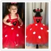 Set ragazze Abito da cartone animato rosso TUTU BASSI CRUCHET TULLE ABITO ALLA BALLA CON IL PACCOLO SET BAMBINI COSTI COSTRUI