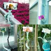 Accessories Suction Phone Stand Holder Cute Worm Lazy Phone Desk Wall Bracket Mount Flexible Adsorption Universal Holder for iPhone Xiaomi