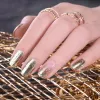 Kits kit de gel de peinture platine bestitilums avec pinceau à ongles Uv Salon ongles art conception de paillettes métalliques.