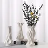 VASSE DEGIONE VASE Ceramica Simpuca stanza Fiore vento vegetariano In casa Nordic Burning Creative Weerretion Decorazione bianca